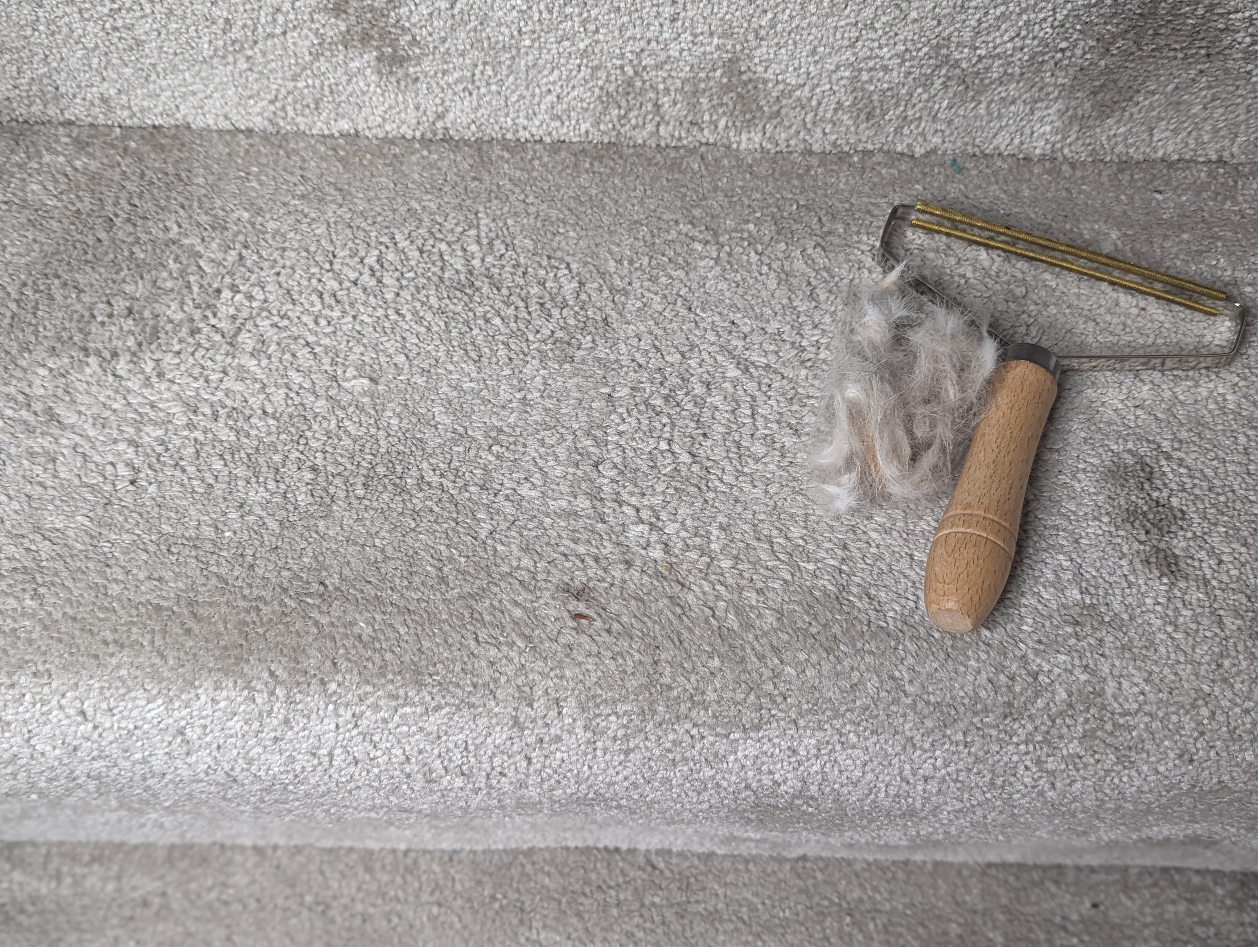 Lint Remover (Pet-Lift Lint-Away)